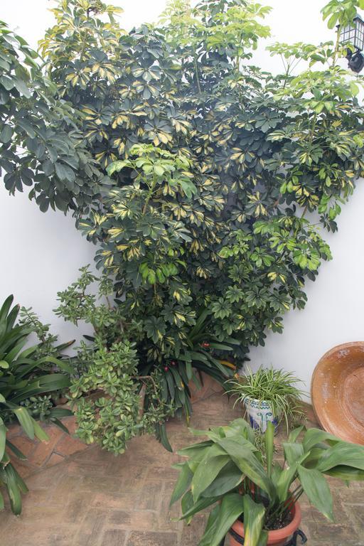 Casa Rural Migolla 오수나 외부 사진