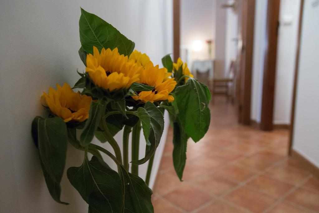 Casa Rural Migolla 오수나 외부 사진